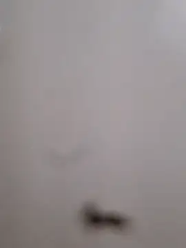 BriannaVincent online show from 09-13-25, 04:01