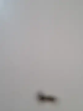 BriannaVincent online show from 10-29-25, 04:26