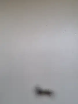 BriannaVincent online show from 01-07-26, 04:59