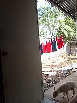 Andresguz35 online show from 02-08-26, 08:23