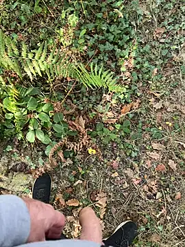 Snapshot of mj23641 chatting on 09-27-25, 07:57 mj23641 online show from 09-27-25, 07:57