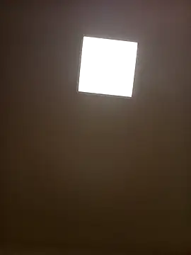 Porzz-6 online show from 09-15-25, 09:59