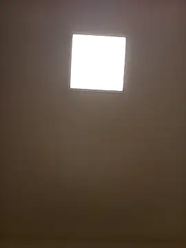 Porzz-6 online show from 11-18-25, 10:03