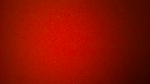 Porzz-6 online show from 02-03-26, 11:21