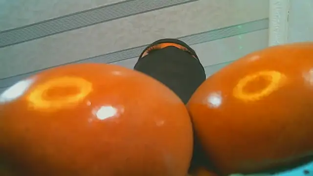 XPanther 24 online show from 02-02-25, 12:46