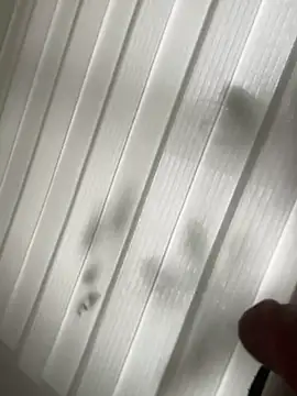 Snapshot of derFickerali chatting on 01-23-25, 01:13 derFickerali online show from 01-23-25, 01:13