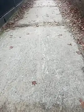 Tomkitomkii online show from 11-06-25, 02:51