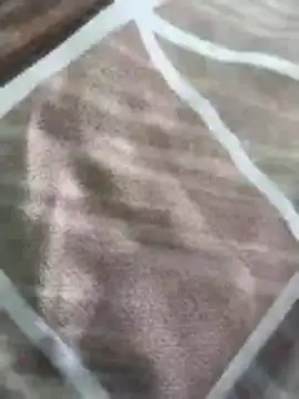 Snapshot of rohitlov150 chatting on 03-16-26, 10:19 rohitlov150 online show from 03-16-26, 10:19