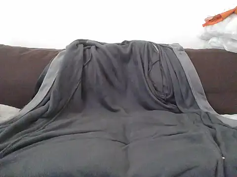 Snapshot of CitizenDick chatting on 04-29-26, 11:47 CitizenDick online show from 04-29-26, 11:47