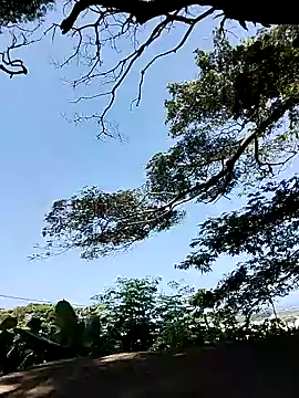 Snapshot of Chocolate_factory_man chatting on 01-18-25, 11:43 Chocolate factory man online show from 01-18-25, 11:43