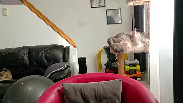 Snapshot of Thekodyy chatting on 09-17-25, 12:40 Thekodyy online show from 09-17-25, 12:40