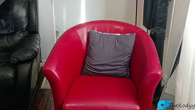 Snapshot of Thekodyy chatting on 10-12-25, 01:32 Thekodyy online show from 10-12-25, 01:32