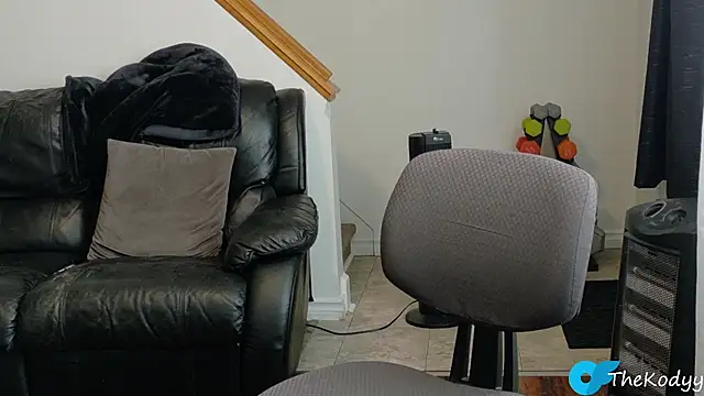 Snapshot of Thekodyy chatting on 10-21-25, 04:41 Thekodyy online show from 10-21-25, 04:41