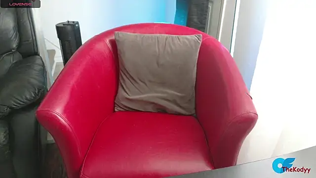 Snapshot of Thekodyy chatting on 02-06-26, 03:48 Thekodyy online show from 02-06-26, 03:48