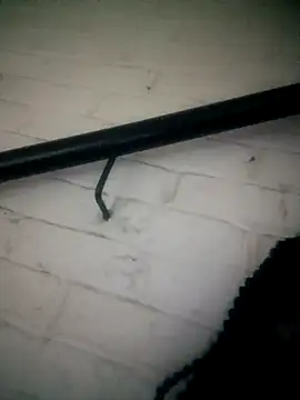 Shria107 online show from 02-20-26, 11:49