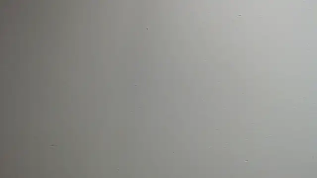 sussy leon online show from 03-13-25, 12:35