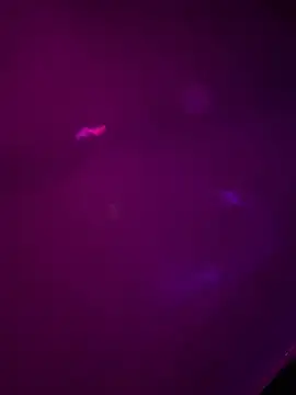 Alahia7demon online show from 03-22-26, 10:18