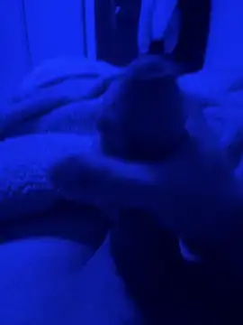 paolone79037 online show from 04-22-26, 09:05