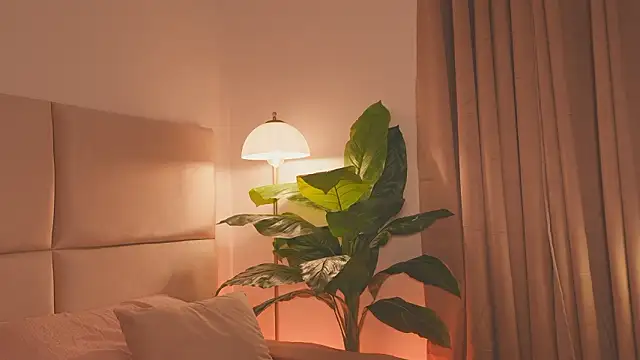 SweetHanson online show from 03-24-26, 12:10