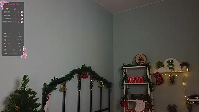 Snapshot of DawnGammell chatting on 12-26-24, 12:25 DawnGammell online show from 12-26-24, 12:25