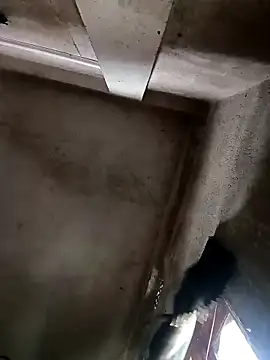 NICK IN online show from 10-30-25, 03:52