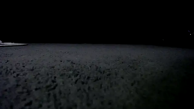 Snapshot of Niquitasparkles chatting on 01-24-25, 10:00 Niquitasparkles online show from 01-24-25, 10:00