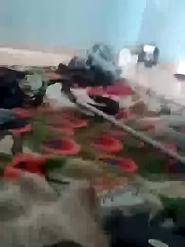 Snapshot of raiu1257 chatting on 02-21-25, 09:32 raiu1257 online show from 02-21-25, 09:32