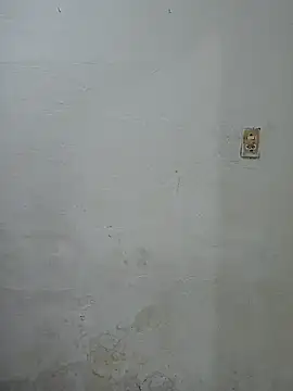 Snapshot of Branquinho_Goxtoso chatting on 01-05-25, 02:38 Branquinho Goxtoso online show from 01-05-25, 02:38