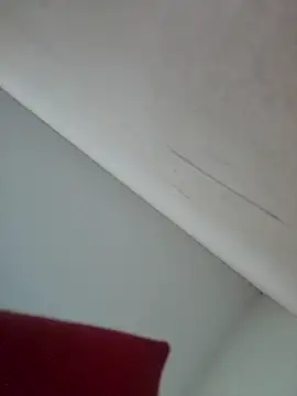 Snapshot of Branquinho_Goxtoso chatting on 01-27-25, 12:54 Branquinho Goxtoso online show from 01-27-25, 12:54