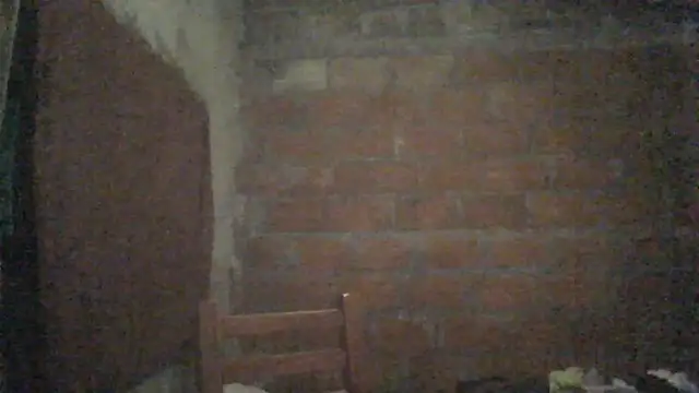 Snapshot of elsaiya chatting on 09-22-25, 12:01 elsaiya online show from 09-22-25, 12:01