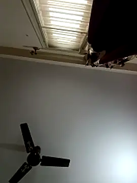 blr boi online show from 12-03-25, 06:54