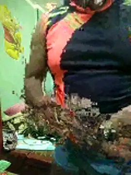 ShelfyOfferer online show from 01-31-26, 11:14