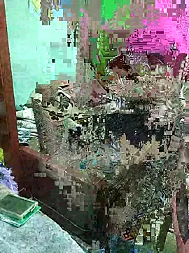 ShelfyOfferer online show from 05-29-26, 01:36