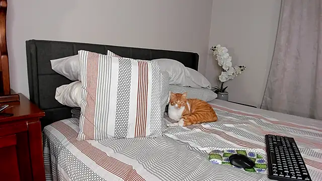 Angel 1997 online show from 02-18-25, 11:30