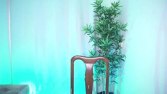 dam0n fr0st online show from 12-02-25, 07:53