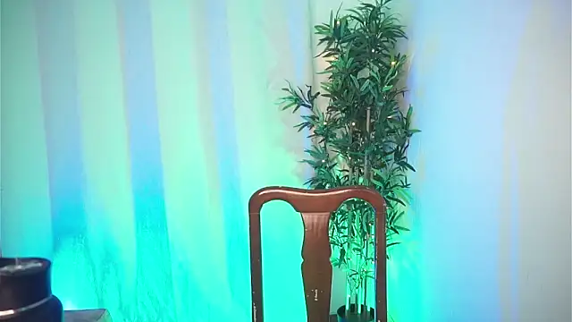 dam0n fr0st online show from 02-04-26, 08:47