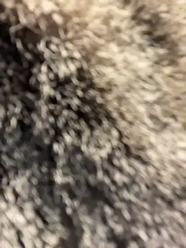 SuzieMurray online show from 04-01-26, 08:26