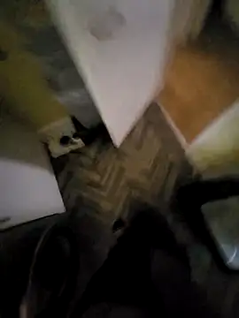 Polish41 online show from 03-31-26, 06:58