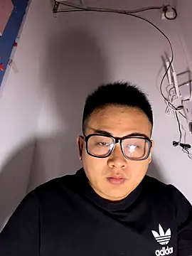 lixiaoshuai8 online show from 11-04-25, 03:11