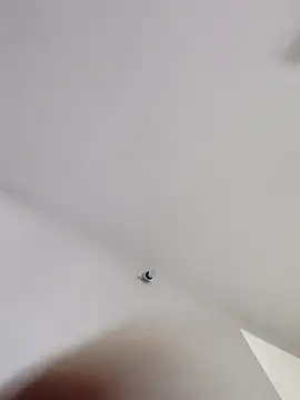 Tamilrojanew online show from 01-11-26, 04:28