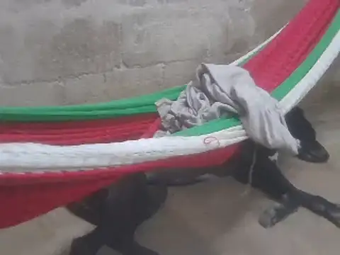 Snapshot of tripexnte chatting on 02-16-25, 11:26 tripexnte online show from 02-16-25, 11:26