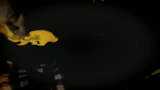 Pressure69mee online show from 03-12-25, 09:24