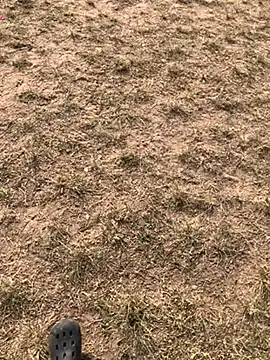 Black mamba madingo online show from 12-10-24, 03:01