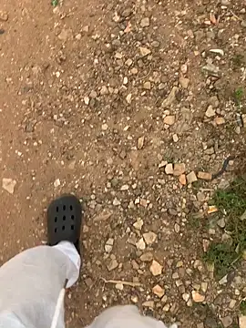 Black mamba madingo online show from 12-11-24, 04:09