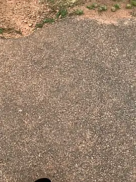 Black mamba madingo online show from 02-15-25, 12:11