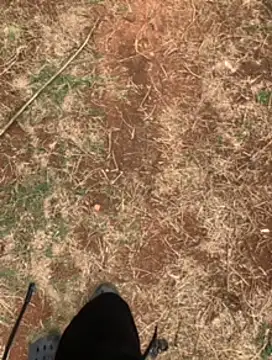 Black mamba madingo online show from 02-23-25, 01:10