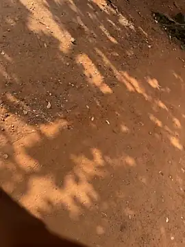 Black mamba madingo online show from 03-21-26, 08:41