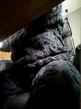 JJBOY-SF online show from 03-14-25, 09:14