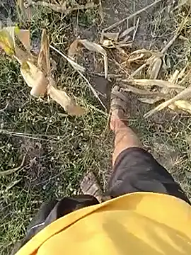 Piyush 2024 online show from 03-23-26, 02:15