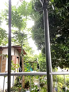 Jestebanano online show from 10-18-25, 08:20